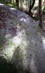 巨岩と落葉