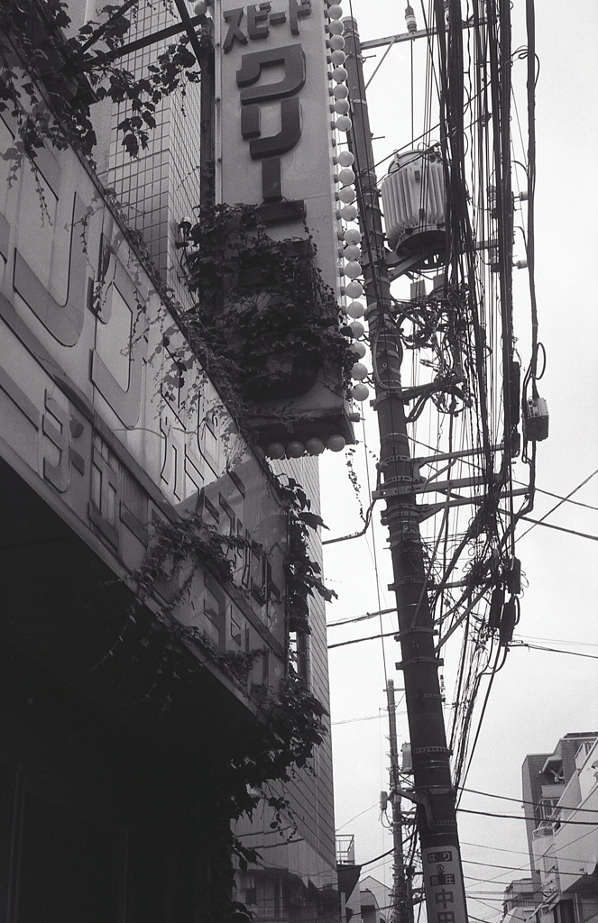 廃業店舗に忍び寄る蔦　～東京モノクロ