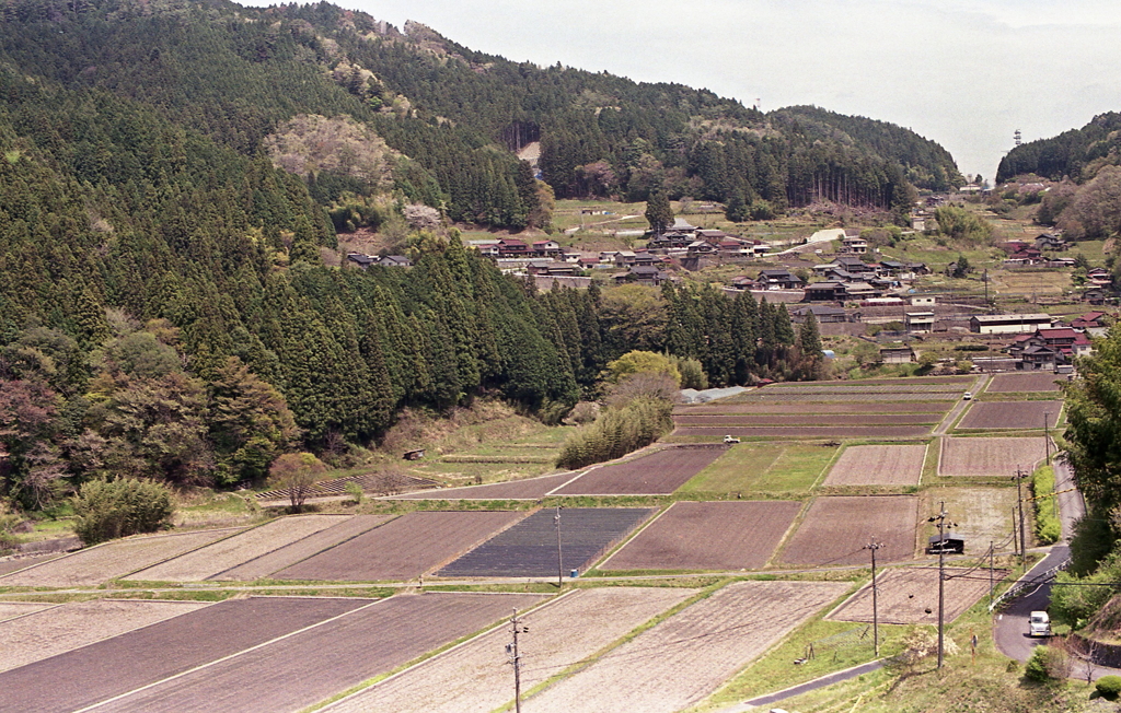 愛知の設楽の山ん中で…