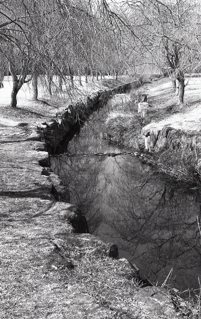 小川の畔を歩く