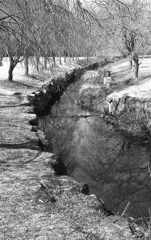 小川の畔を歩く