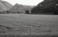 広々とした里の谷汲の風景