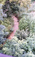 昇龍橋からの濁川