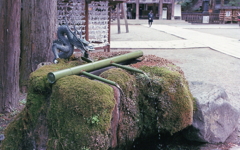 苔の手水石