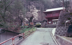 法華寺への参道