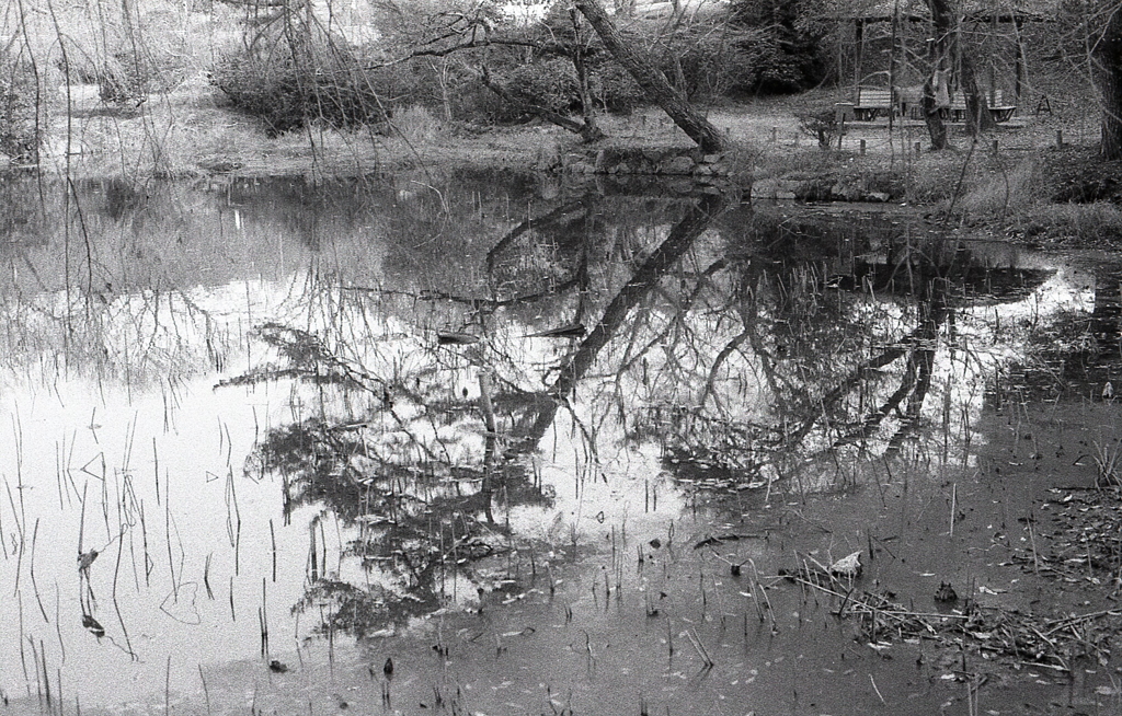 ＩＳＯ1００でのFoma RETROPAN320