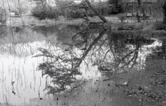 ＩＳＯ1００でのFoma RETROPAN320