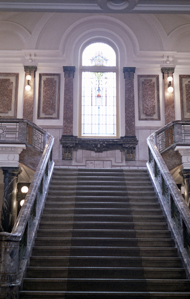 いつもの写真ですが…（苦笑