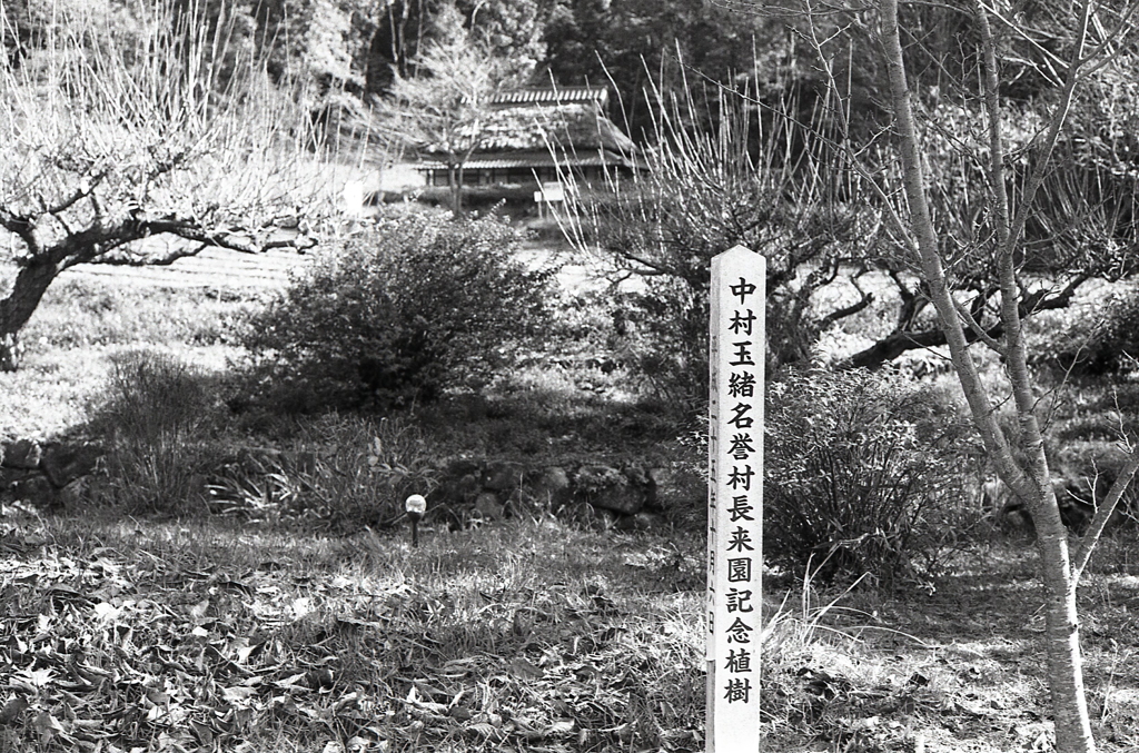 中村玉緒名誉村長