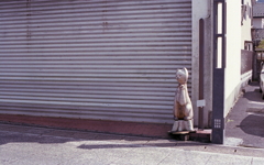ひっそりと…招き猫