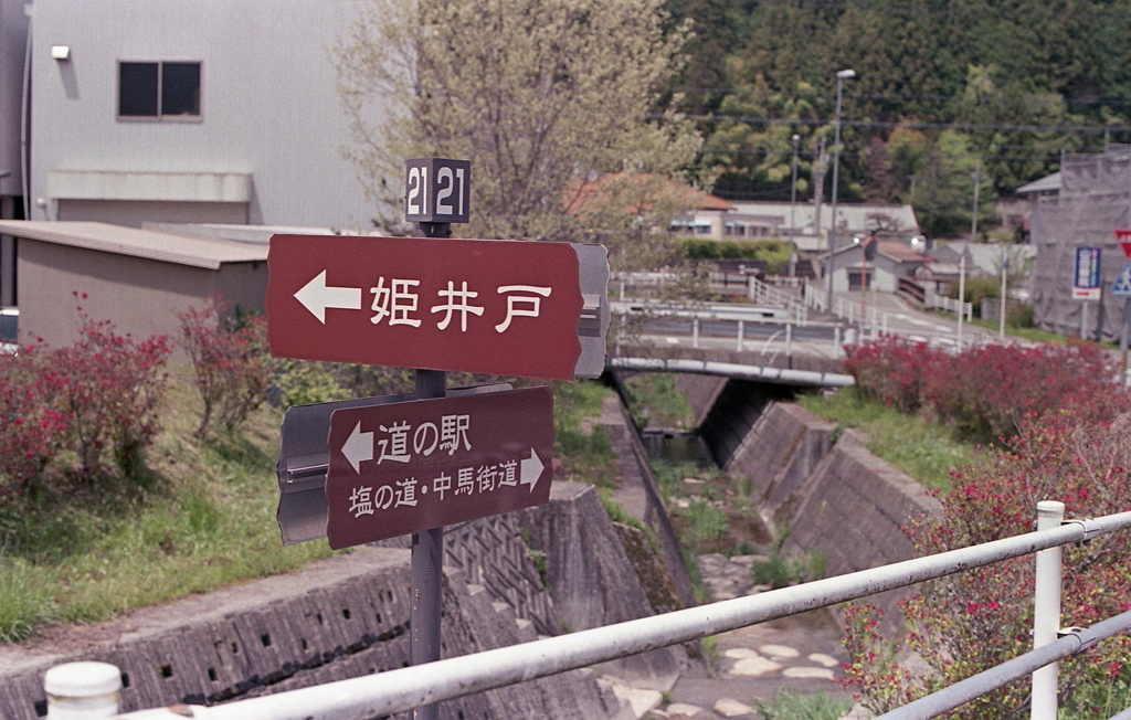 道の駅からひとり外れて歩き出す