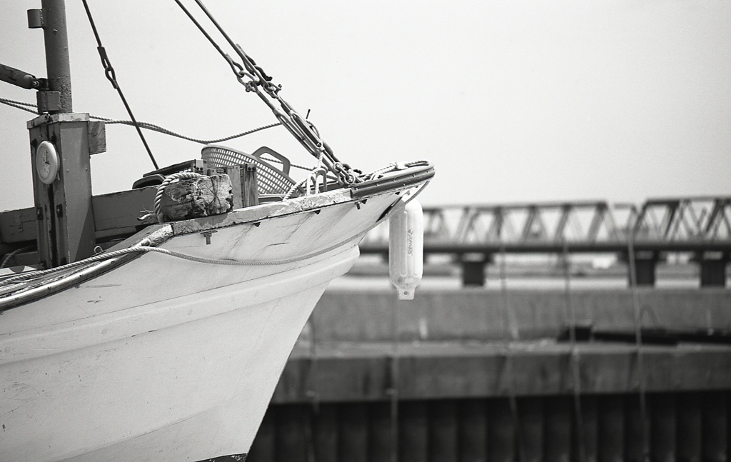 舳先の向こうは名四国道