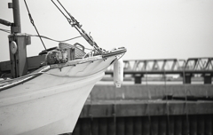 舳先の向こうは名四国道