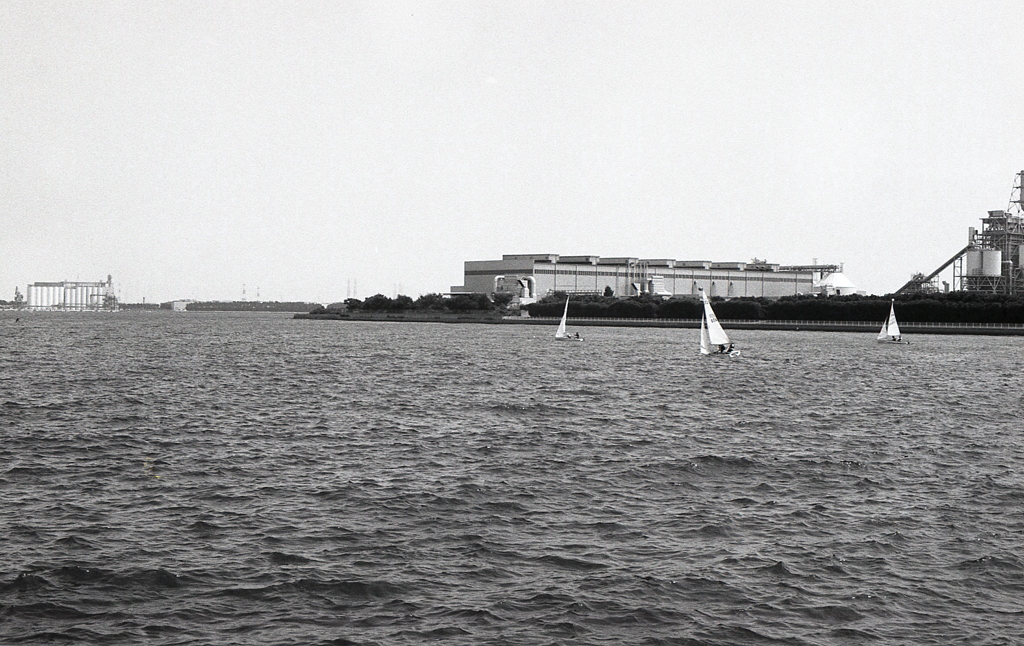 風に乗って滑るように…