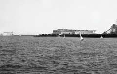 風に乗って滑るように…