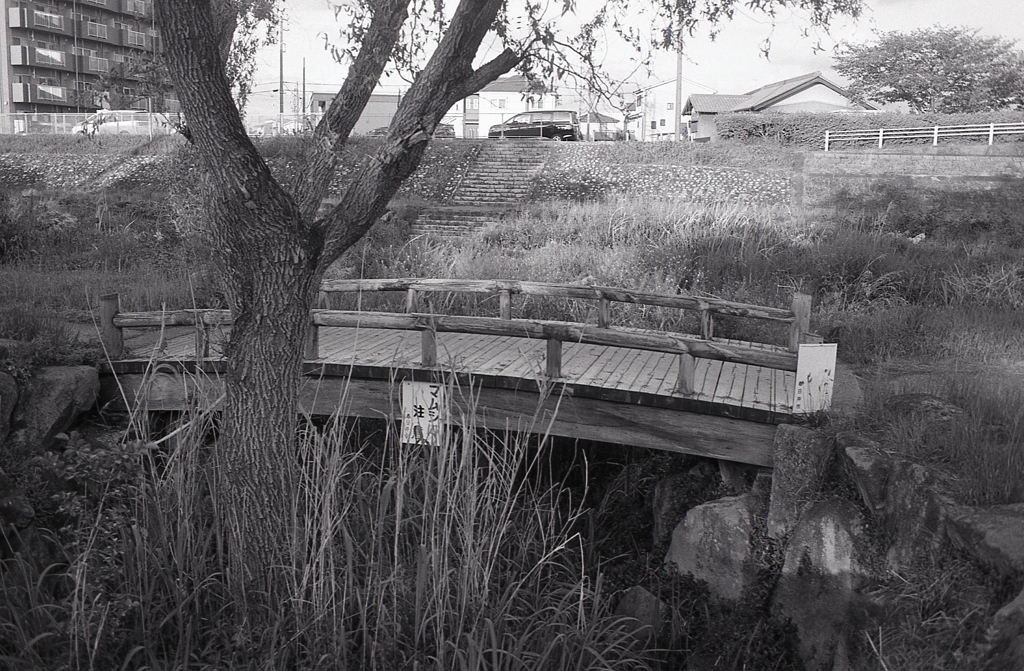 マムシ注意！　～AGFA（アグファ）の散歩道