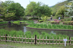 水辺の風景　～春日井市都市緑化植物園