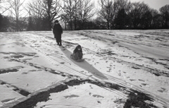 そりの静止画像です。（笑