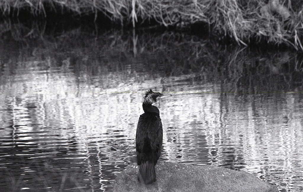 ひとり…生きる。