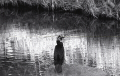 ひとり…生きる。