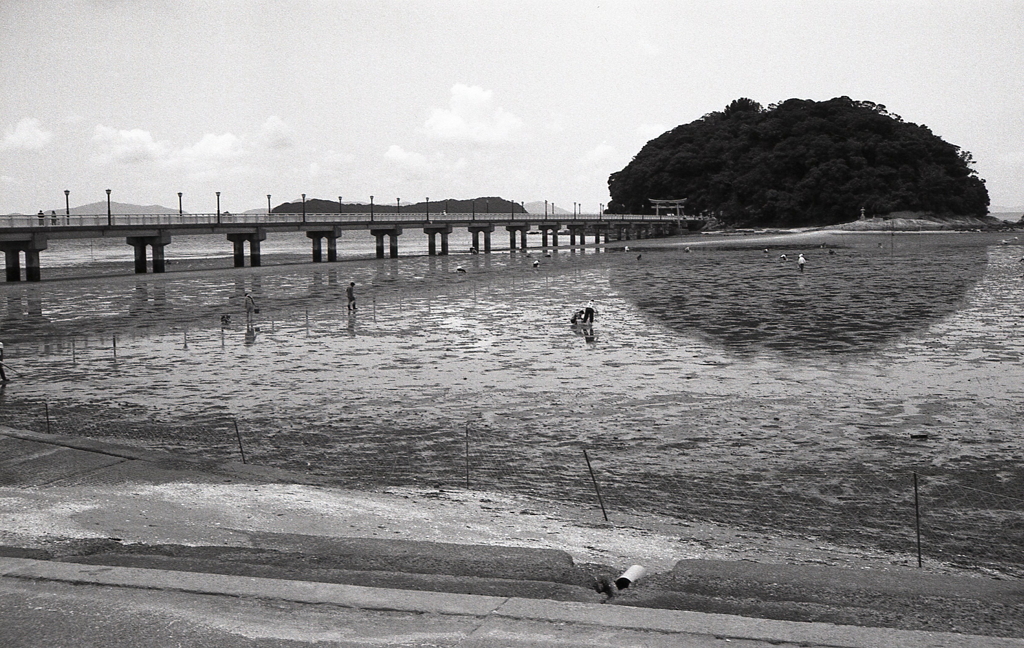 昭和九十六年の竹島の風景