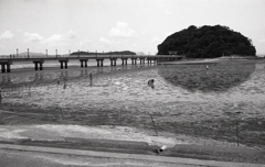 昭和九十六年の竹島の風景