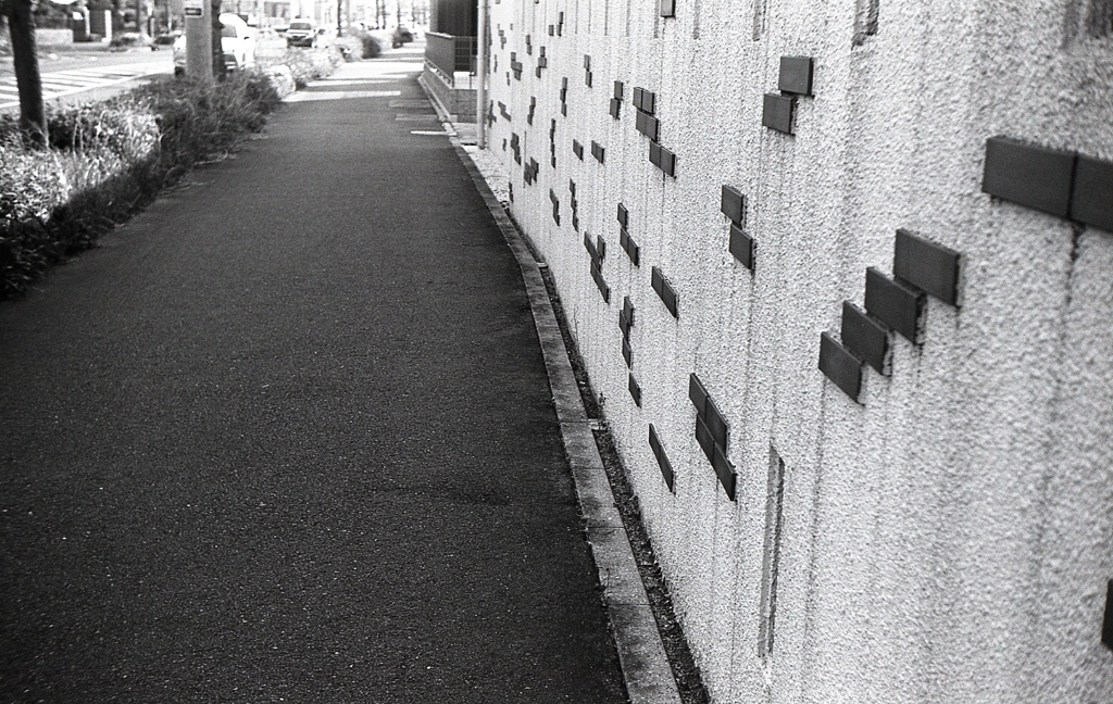 歩こう歩こう、私は元気！