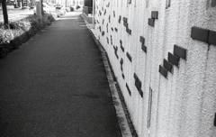 歩こう歩こう、私は元気！