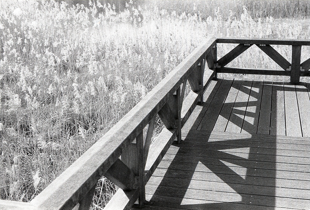 コントラストな桟橋で…