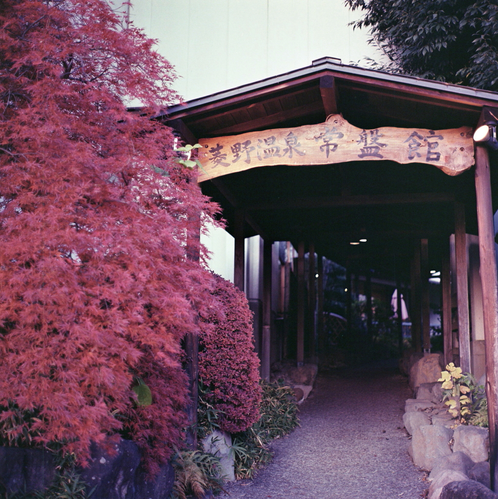 菱野温泉常盤館
