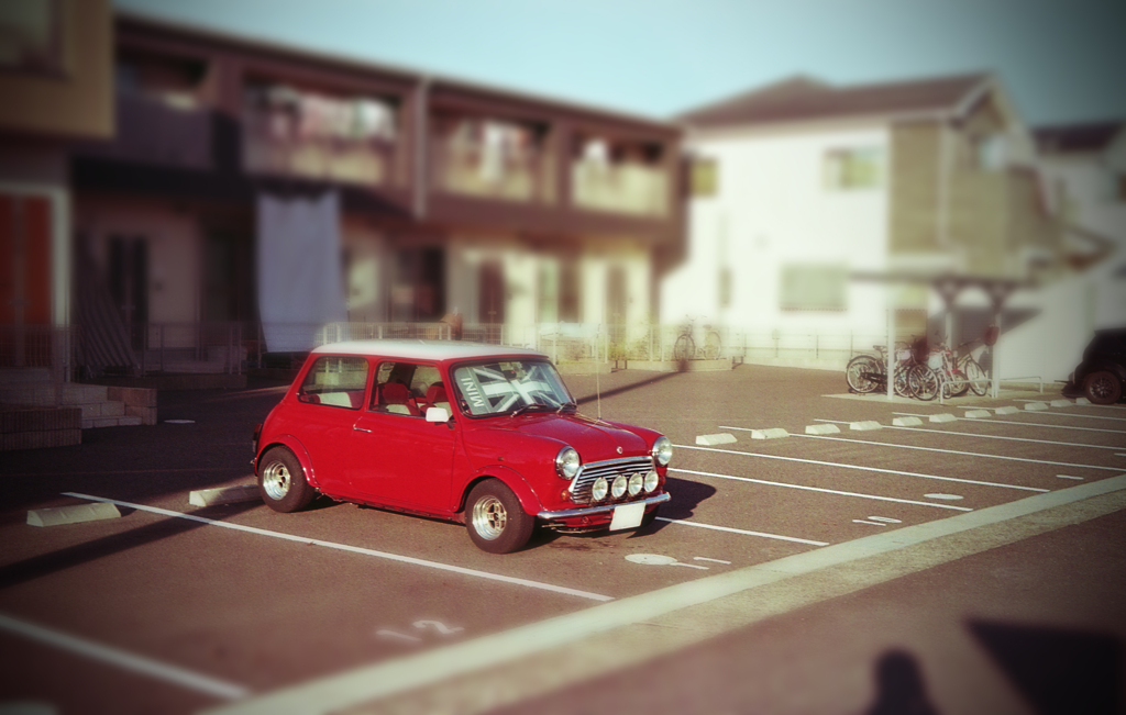 ミニが撮ってくれってさ。