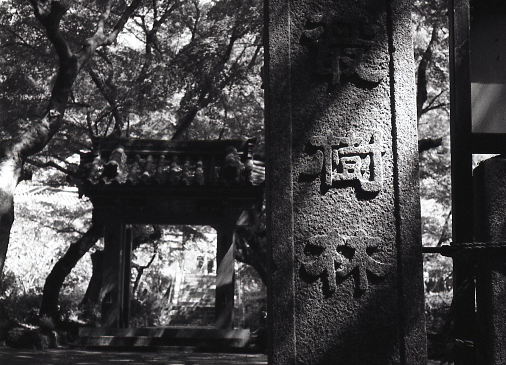 木漏れ日の碑文