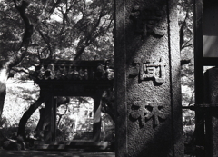 木漏れ日の碑文