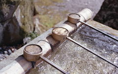 春光のなか…手水舎の水