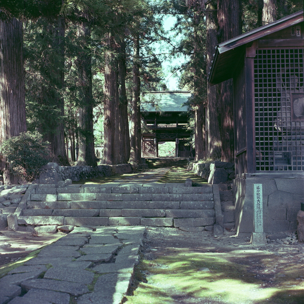 慈雲寺参道