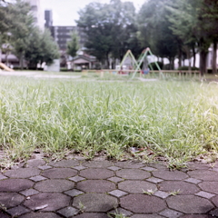 夏の児童公園