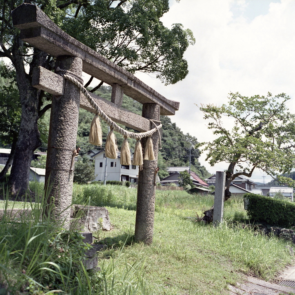 廃線脇の石鳥居