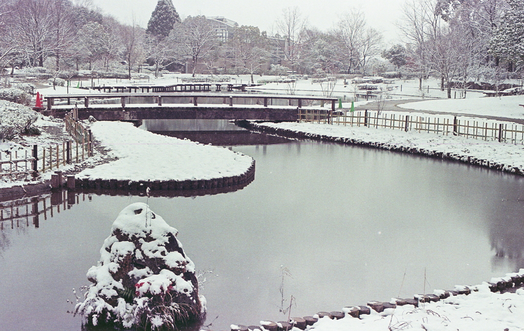 大谷池の雪風景