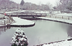大谷池の雪風景