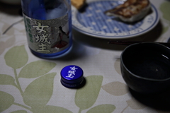 「女城主」でひとり酒