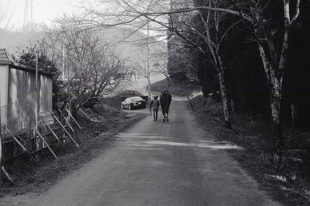 お馬が歩く散歩道