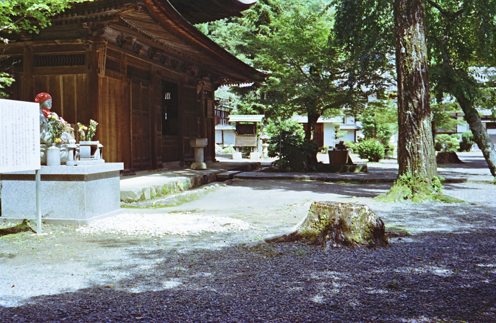 納骨式の前に参拝しました。