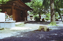 納骨式の前に参拝しました。