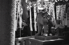 八百富神社の狛犬