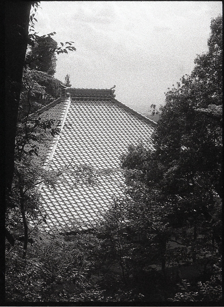 本堂の瓦（いらか）