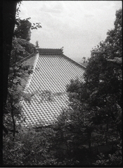 本堂の瓦（いらか）