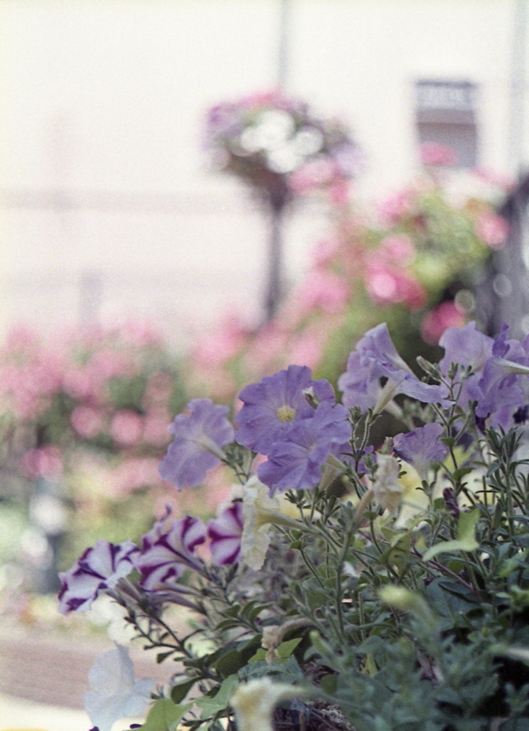 石ベンチのブルー