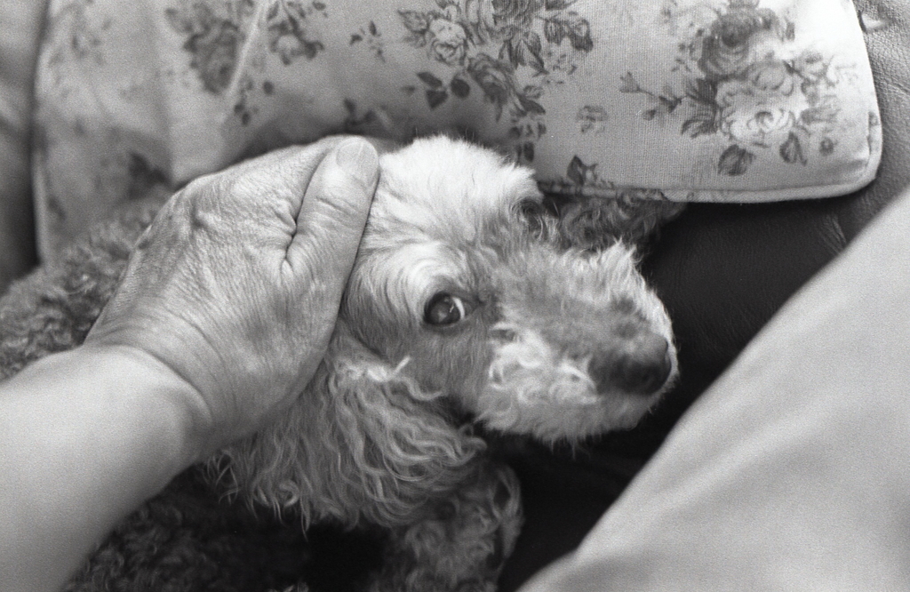 とうちゃん、難しかったねぇ…そうだね。