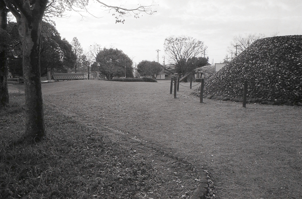 秋の散歩に道すがら…