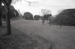 秋の散歩に道すがら…